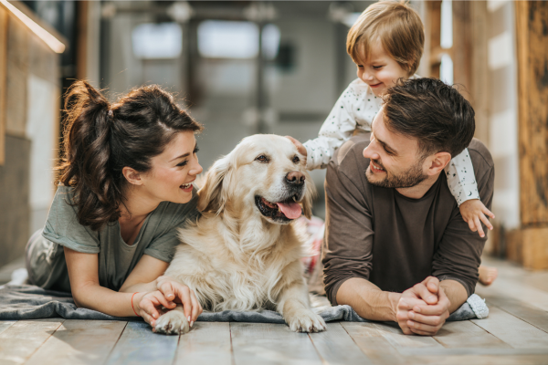 The Pros and Cons of Allowing Pets in Your Crestview Rental Property